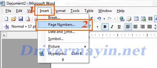 Cách đánh số trang trong word 2003